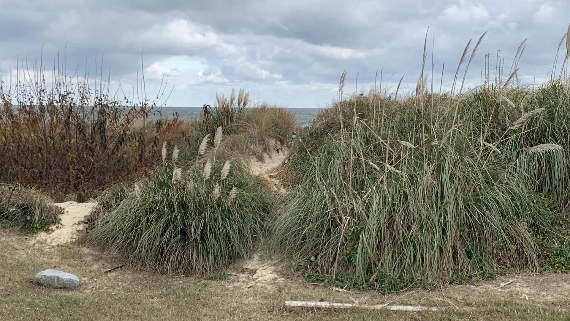 Beach Front On The Bay On The Dunes Bungalow North Camellia Acres 0*,