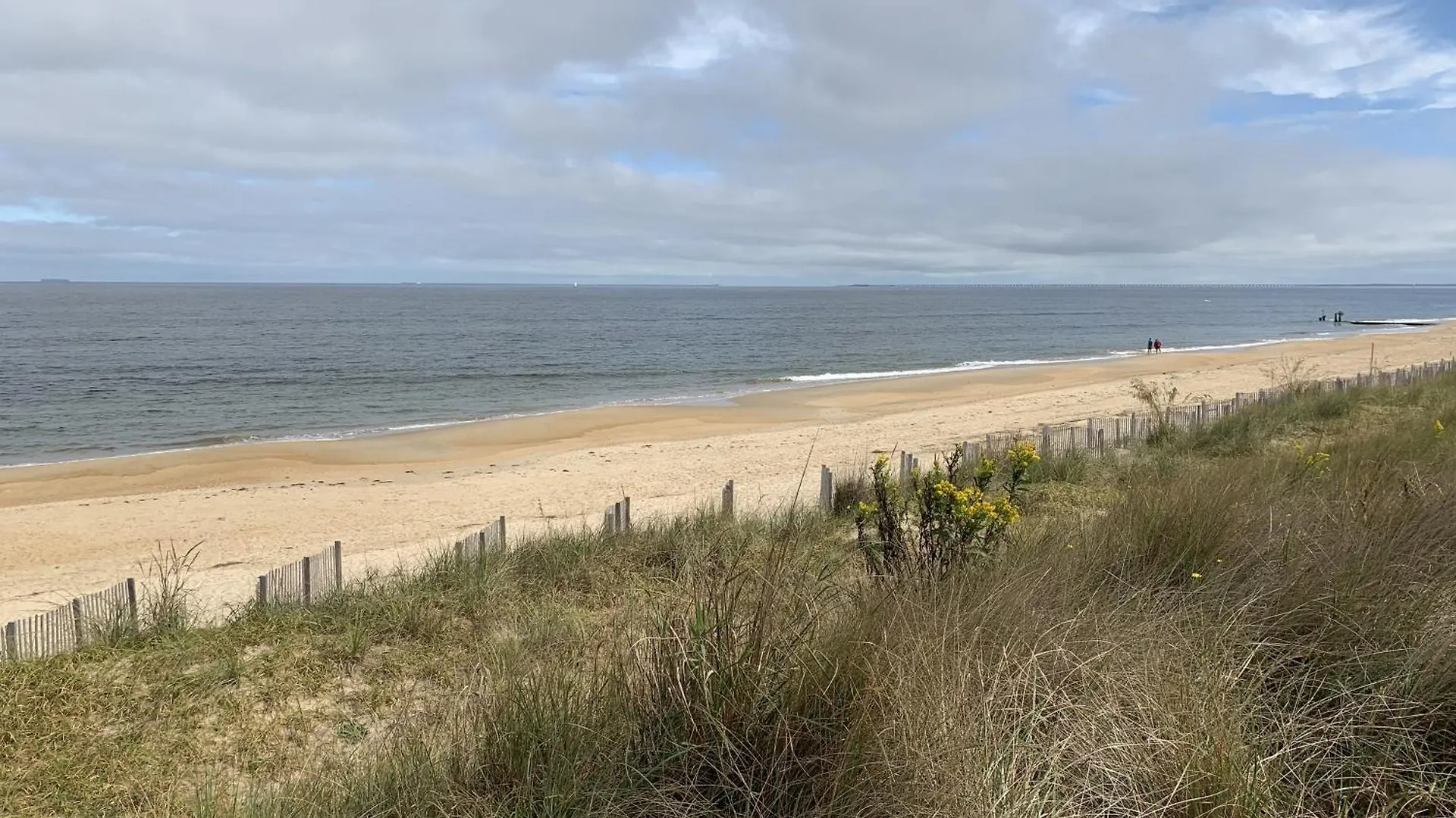 Beach Front On The Bay On The Dunes Bungalow North Camellia Acres