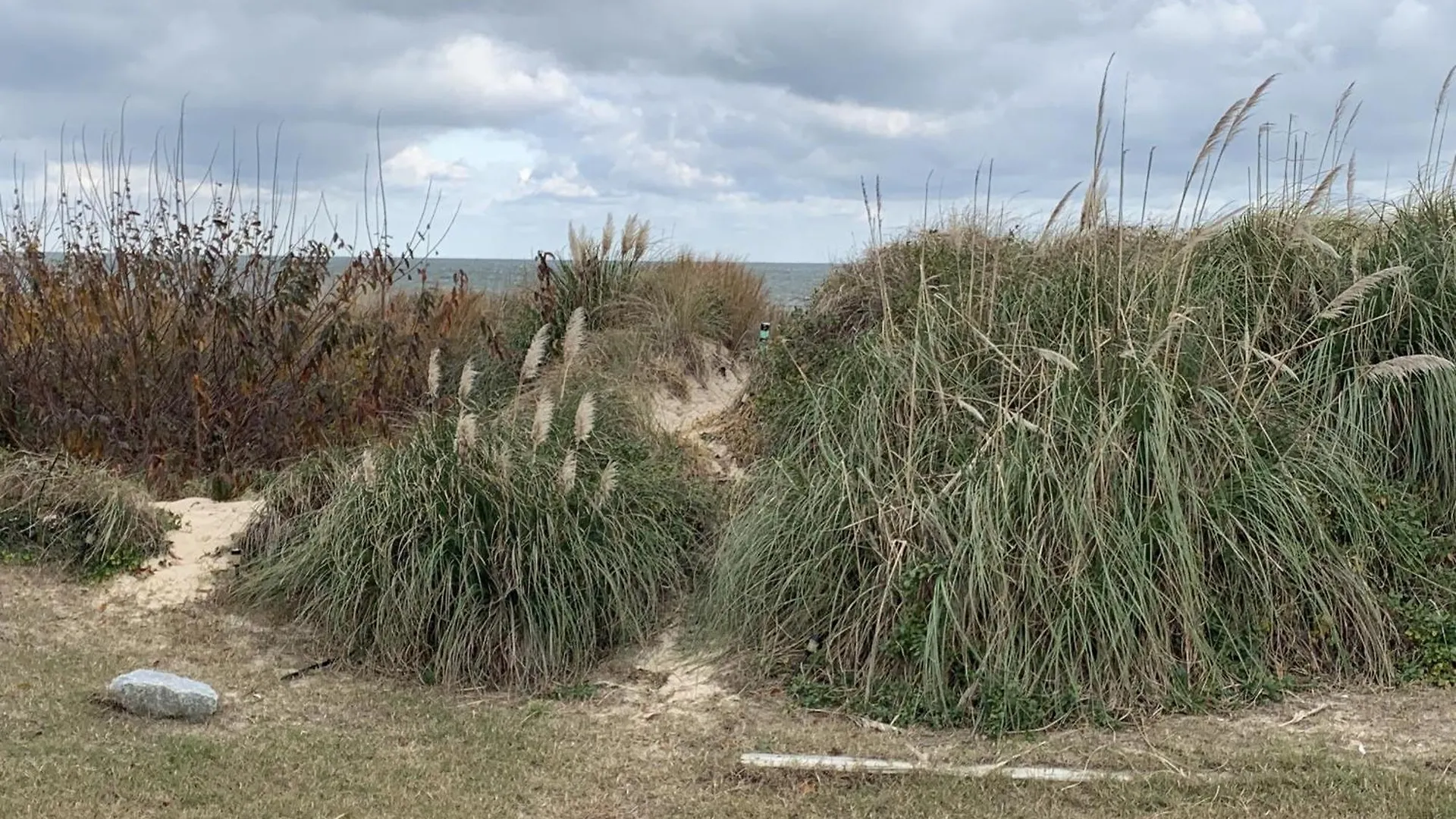 Holiday home Beach Front On The Bay On The Dunes Bungalow North Camellia Acres